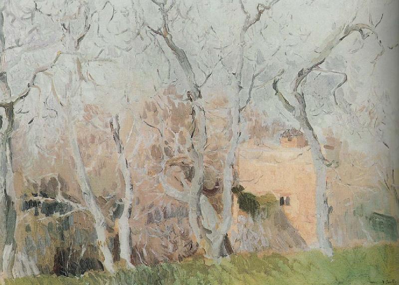 Joaquin Sorolla Fig tree oil painting image
